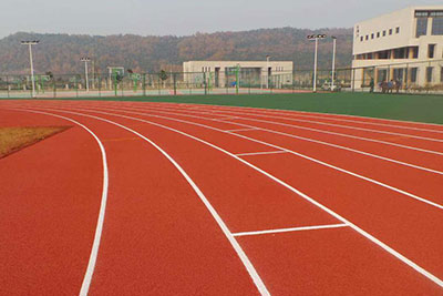 Césped para pista de atletismo