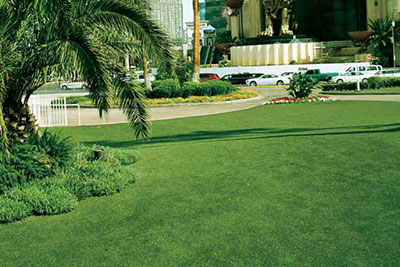 Artificial Grass for Landscape